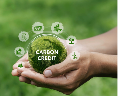 shutterstock_2323381839 (2) shutterstock_2323381839 (2)