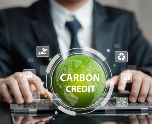 shutterstock_2594177523 shutterstock_2594177523